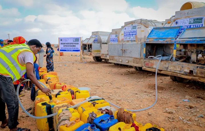 A HARO worker fills rows of jerry cans from emergency water tankers in Daaru-Salaam village, Nugaal, 2025