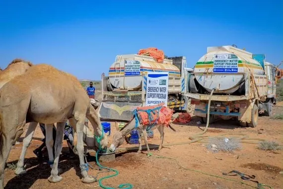 A camel and a donkey drink beside HARO emergency water tankers in Nugaal, Puntland